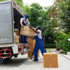 Moving Assistance